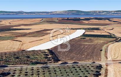Çanakkale Kangırlı Deniz Manzaralı 12 Dönüm Tarla