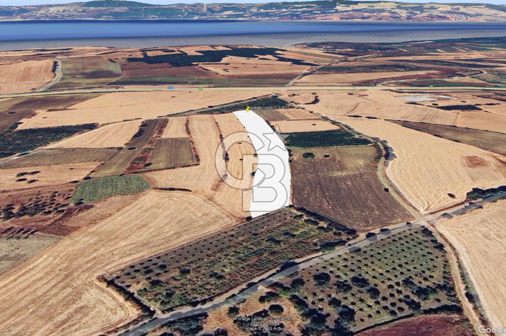 Çanakkale Kangırlı Deniz Manzaralı 12 Dönüm Tarla