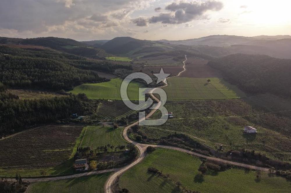 Saroz Körfezinde Denize Sıfır, Özel Koylu 4+1 Tripleks Villa