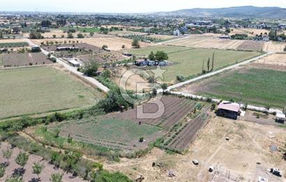 ALİAĞA HELVACI'DA SATILIK TARLA