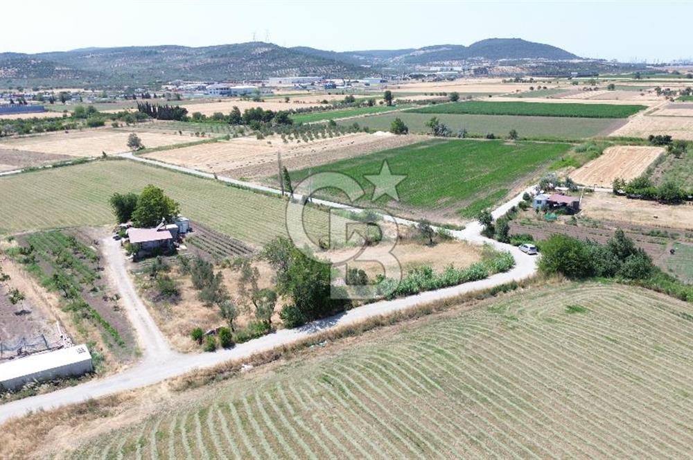 ALİAĞA HELVACI'DA SATILIK TARLA