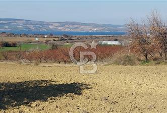 Çanakkale Kangırlı Deniz Manzaralı 12 Dönüm Tarla - 3 - 317240