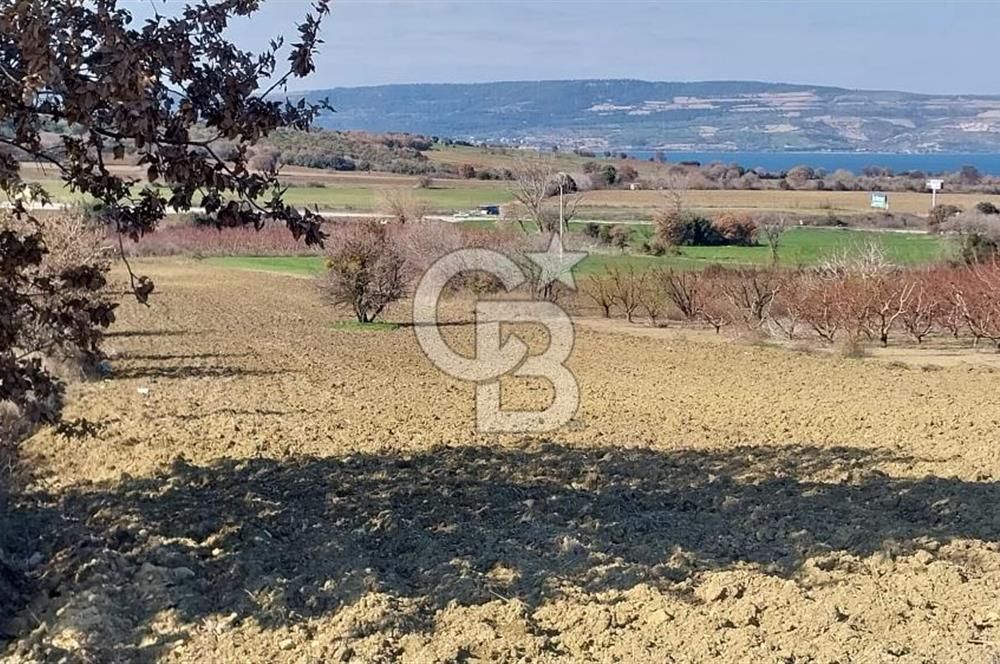 Çanakkale Kangırlı Deniz Manzaralı 12 Dönüm Tarla