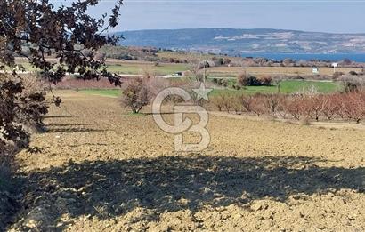 Çanakkale Kangırlı Deniz Manzaralı 12 Dönüm Tarla