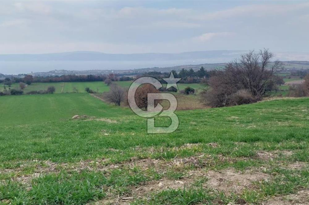 Çanakkale Kangırlı Deniz/Boğaz Manzaralı 13.550m2 Tarla