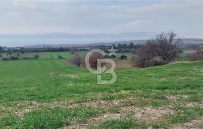 Çanakkale Kangırlı Deniz/Boğaz Manzaralı 13.550m2 Tarla