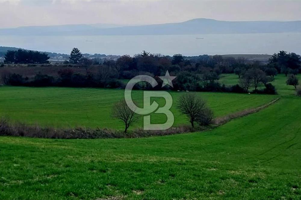 Çanakkale Kangırlı Deniz/Boğaz Manzaralı 13.550m2 Tarla