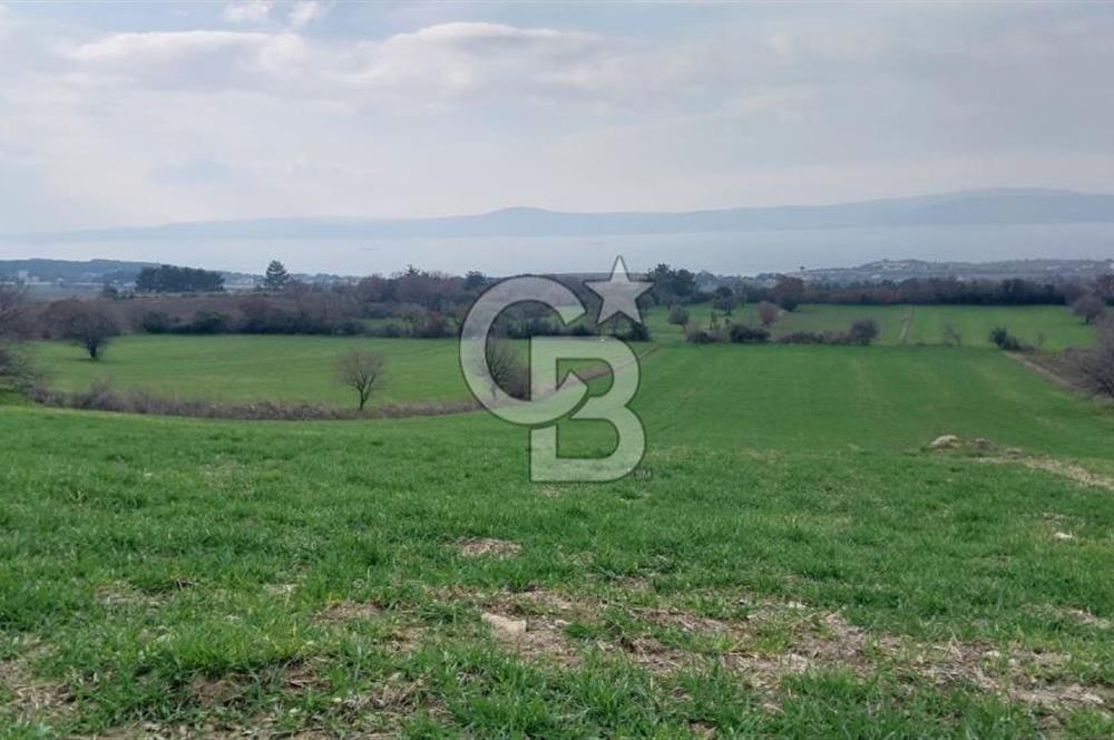 Çanakkale Kangırlı Deniz/Boğaz Manzaralı 13.550m2 Tarla