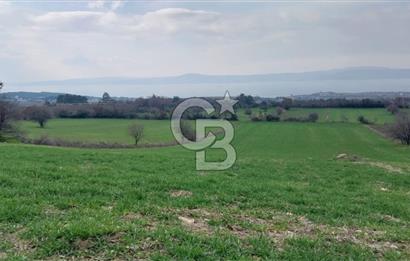 Çanakkale Kangırlı Deniz/Boğaz Manzaralı 13.550m2 Tarla