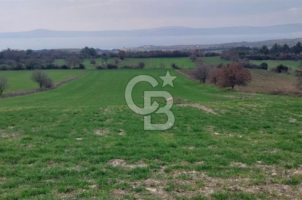 Çanakkale Kangırlı Deniz/Boğaz Manzaralı 13.550m2 Tarla