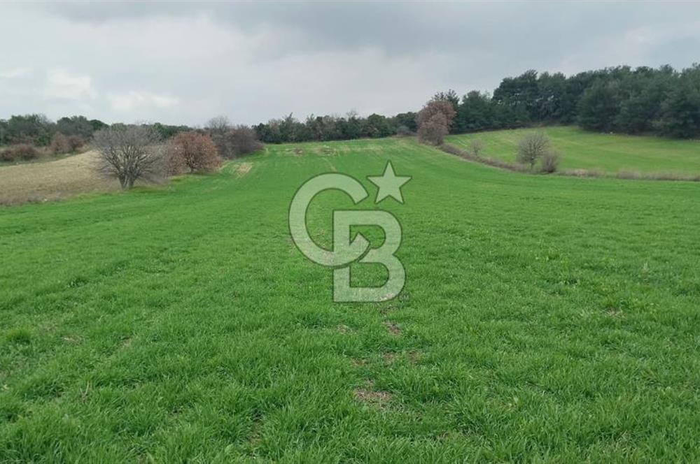 Çanakkale Kangırlı Deniz/Boğaz Manzaralı 13.550m2 Tarla