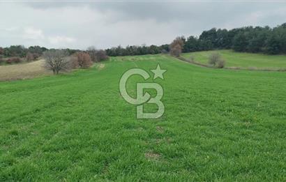 Çanakkale Kangırlı Deniz/Boğaz Manzaralı 13.550m2 Tarla