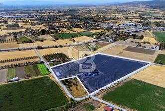 ALİAĞA HELVACI'DA SATILIK TARLA - 10 - 317316