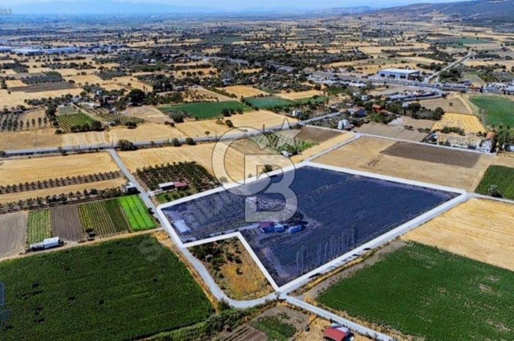 ALİAĞA HELVACI'DA SATILIK TARLA