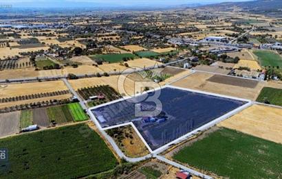 ALİAĞA HELVACI'DA SATILIK TARLA