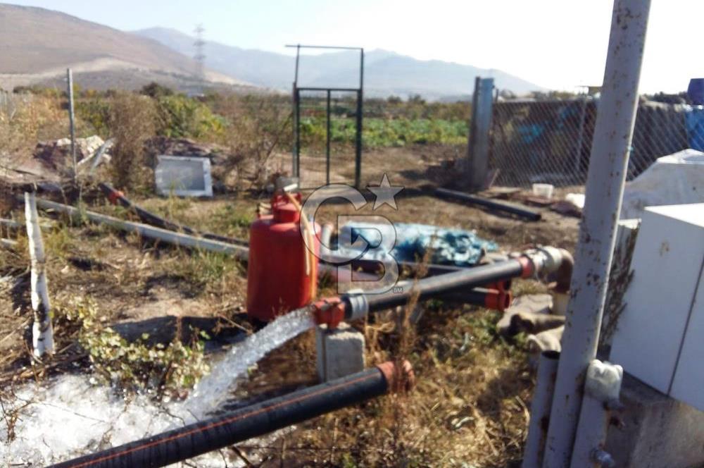 ALİAĞA HELVACI'DA SATILIK TARLA