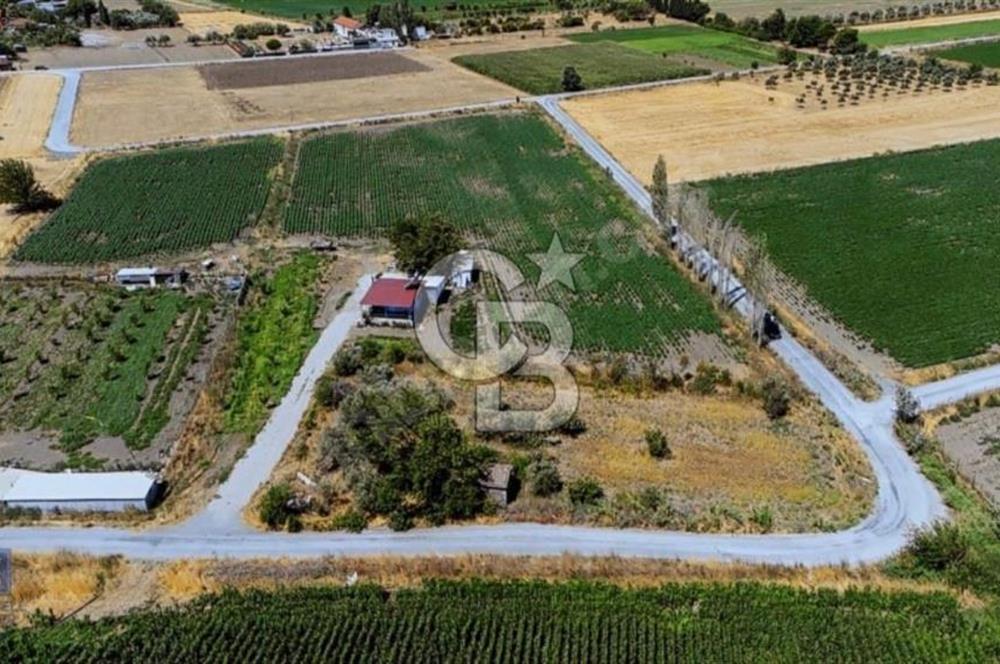 ALİAĞA HELVACI'DA SATILIK TARLA