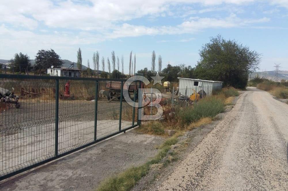 ALİAĞA HELVACI'DA SATILIK TARLA