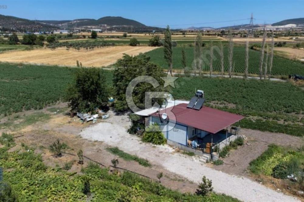 ALİAĞA HELVACI'DA SATILIK TARLA