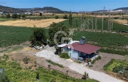 ALİAĞA HELVACI'DA SATILIK TARLA