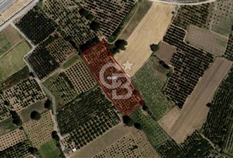 CB BLACK'TAN BURSA İSMETİYE'DE FIRSAT TARLA* - 2 - 317228