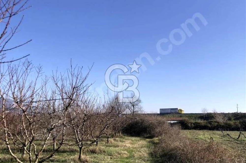 CB BLACK'TAN İSMETİYE'DE SATILIK TARLA*