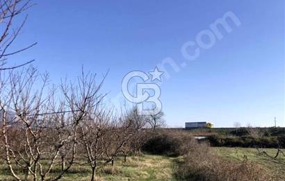 CB BLACK'TAN İSMETİYE'DE SATILIK TARLA*