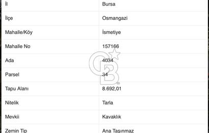 CB BLACK'TAN İSMETİYE'DE SATILIK TARLA*