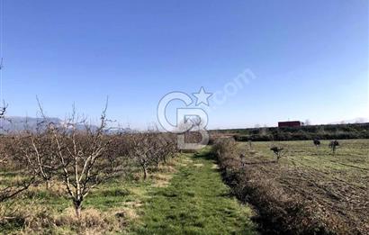 CB BLACK'TAN İSMETİYE'DE SATILIK TARLA*