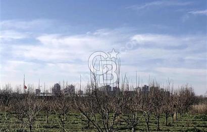 CB BLACK'TAN İSMETİYE'DE SATILIK TARLA*