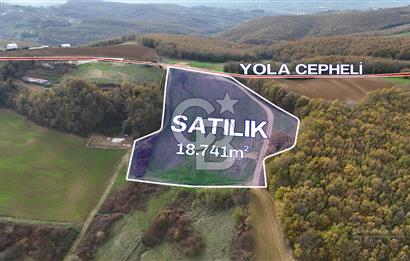 KOCAELİ HİMMETLİ'DE 19 DÖNÜM ARAZİ