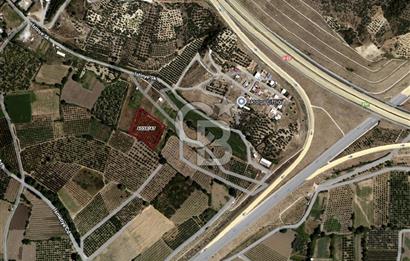 CB BLACK'TAN İSMETİYE'DE FIRSAT KONUMLU SATILIK TARLA*