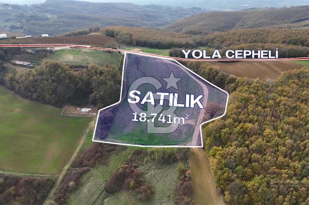 KOCAELİ HİMMETLİ'DE 19 DÖNÜM ARAZİ