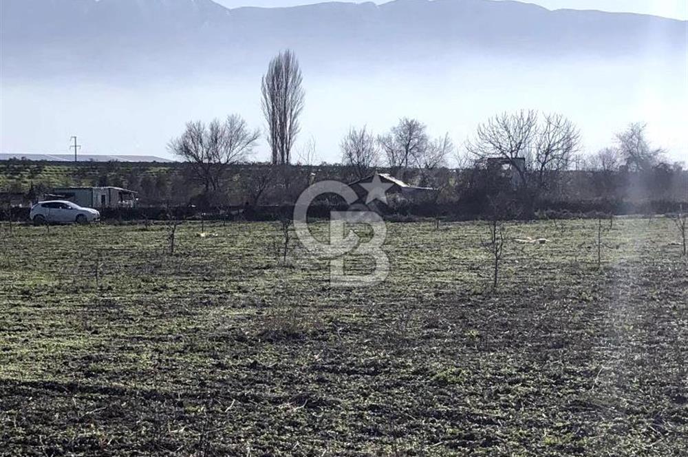 CB BLACK'TAN İSMETİYE'DE SATILIK TARLA*