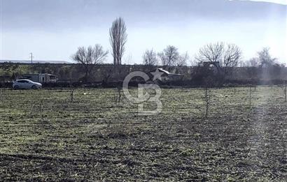 CB BLACK'TAN İSMETİYE'DE SATILIK TARLA*