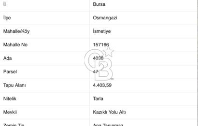 CB BLACK'TAN İSMETİYE'DE FIRSAT KONUMLU SATILIK TARLA*