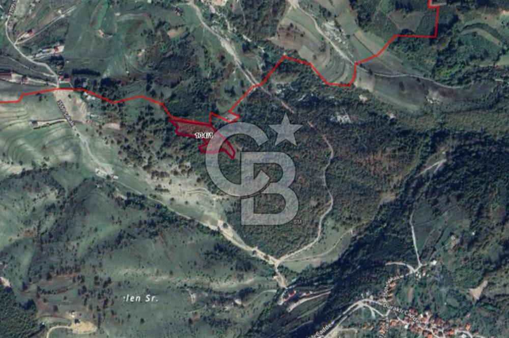 NETA'DAN GEBZE DURAKLI MAHALLESİNDE 5.542m2 SATILIK FINDIKLIK