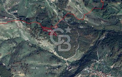 NETA'DAN GEBZE DURAKLI MAHALLESİNDE 5.542m2 SATILIK FINDIKLIK