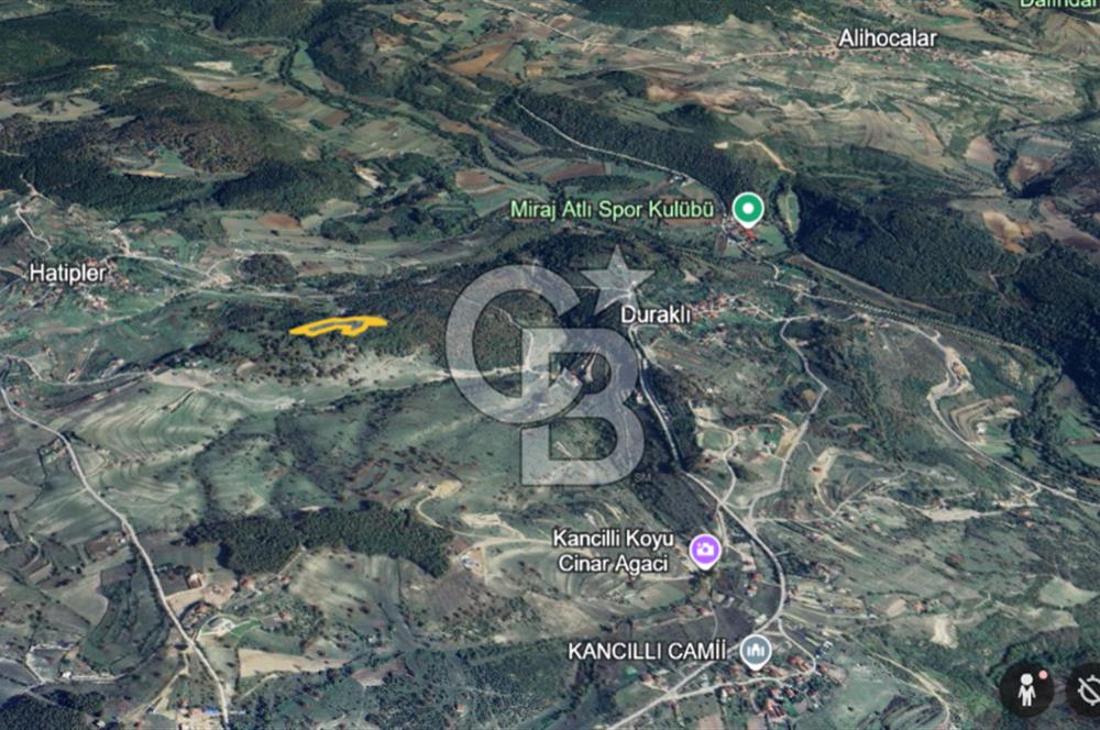 NETA'DAN GEBZE DURAKLI MAHALLESİNDE 5.542m2 SATILIK FINDIKLIK