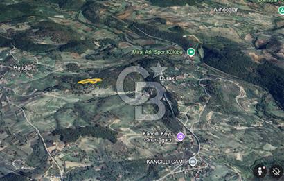 NETA'DAN GEBZE DURAKLI MAHALLESİNDE 5.542m2 SATILIK FINDIKLIK