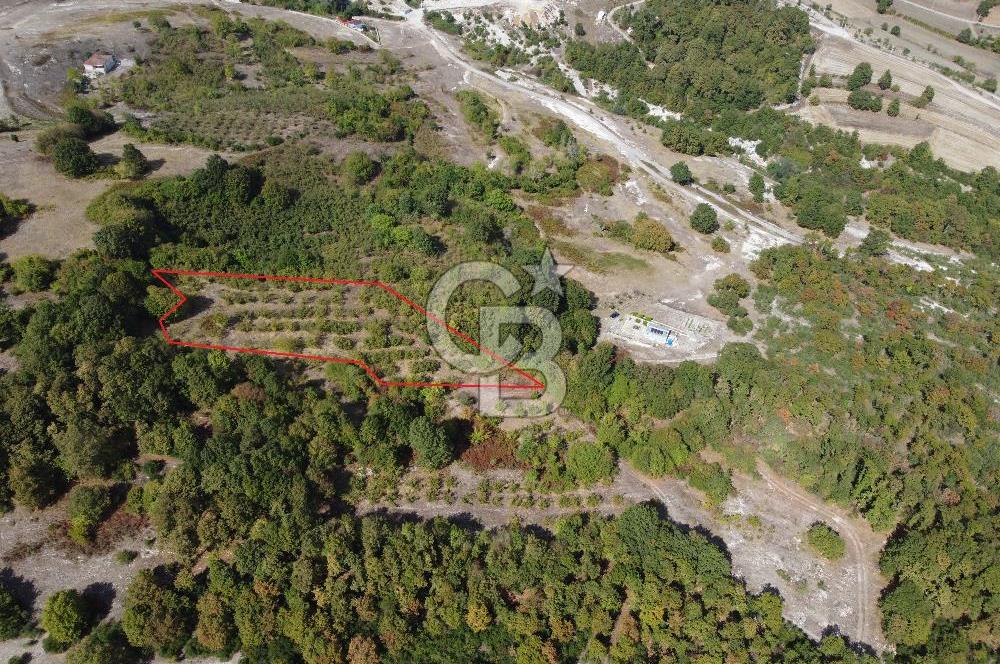 NETA'DAN GEBZE DURAKLI MAHALLESİNDE 5.542m2 SATILIK FINDIKLIK