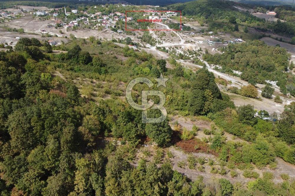 NETA'DAN GEBZE DURAKLI MAHALLESİNDE 5.542m2 SATILIK FINDIKLIK