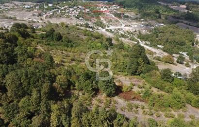 NETA'DAN GEBZE DURAKLI MAHALLESİNDE 5.542m2 SATILIK FINDIKLIK