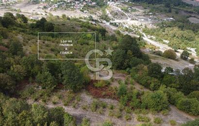 NETA'DAN GEBZE DURAKLI MAHALLESİNDE 5.542m2 SATILIK FINDIKLIK