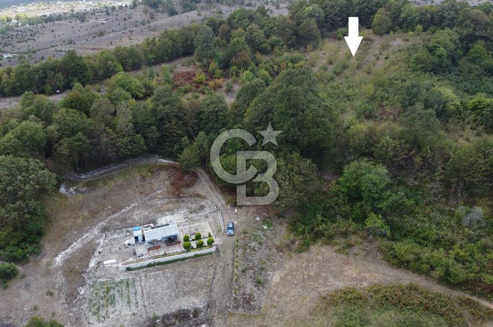 NETA'DAN GEBZE DURAKLI MAHALLESİNDE 5.542m2 SATILIK FINDIKLIK