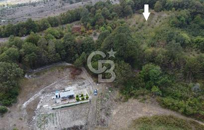 NETA'DAN GEBZE DURAKLI MAHALLESİNDE 5.542m2 SATILIK FINDIKLIK