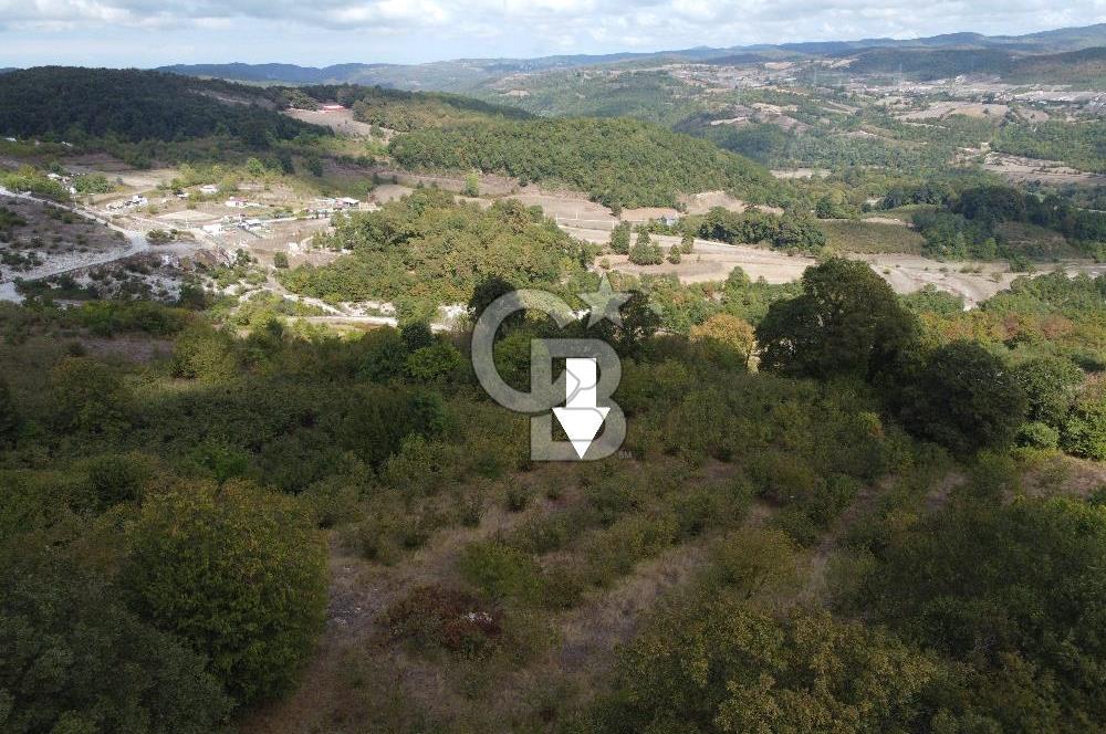 NETA'DAN GEBZE DURAKLI MAHALLESİNDE 5.542m2 SATILIK FINDIKLIK