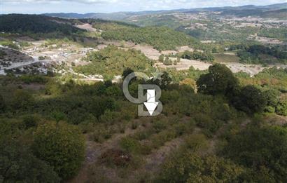 NETA'DAN GEBZE DURAKLI MAHALLESİNDE 5.542m2 SATILIK FINDIKLIK