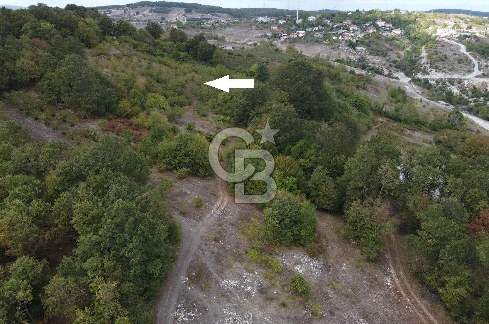 NETA'DAN GEBZE DURAKLI MAHALLESİNDE 5.542m2 SATILIK FINDIKLIK