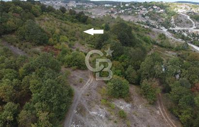 NETA'DAN GEBZE DURAKLI MAHALLESİNDE 5.542m2 SATILIK FINDIKLIK